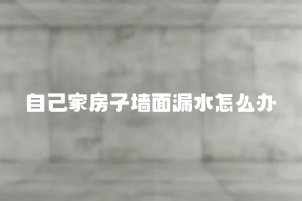 自己家房子墻面漏水怎么辦