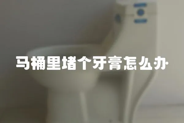 馬桶里堵個(gè)牙膏怎么辦