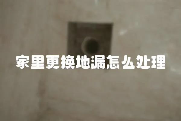 家里更換地漏怎么處理