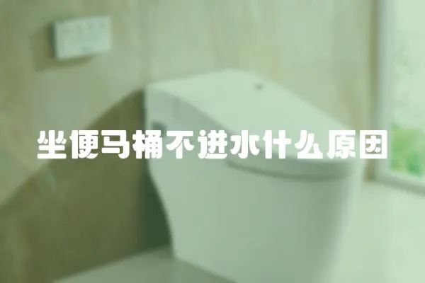 坐便馬桶不進水什么原因