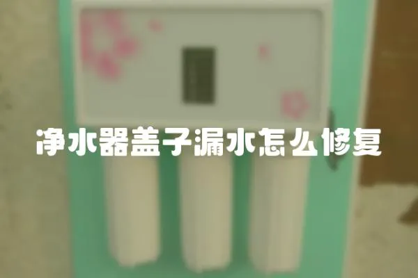 凈水器蓋子漏水怎么修復