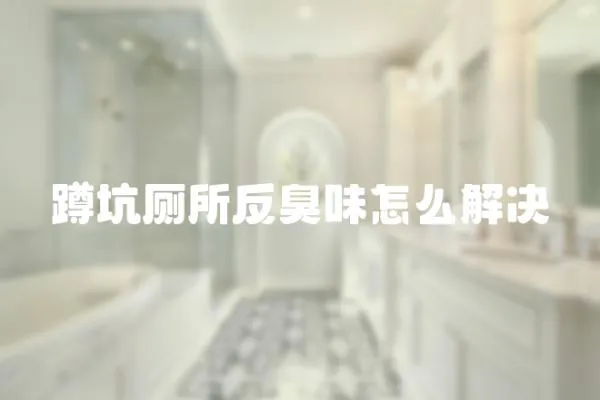 蹲坑廁所反臭味怎么解決