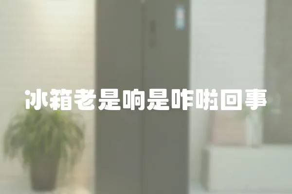 冰箱老是響是咋啦回事