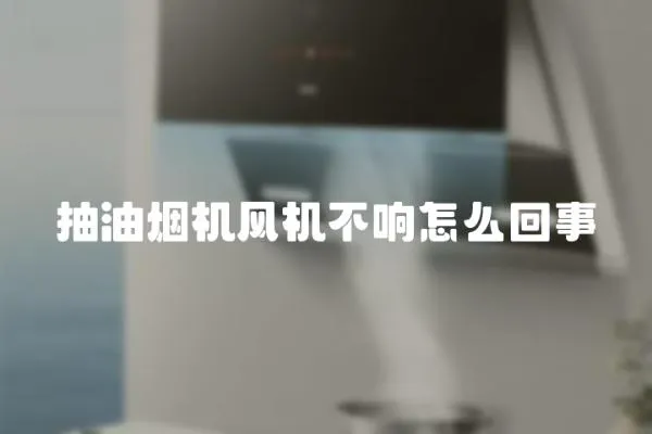 抽油煙機(jī)風(fēng)機(jī)不響怎么回事