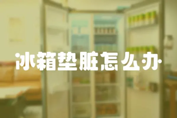 冰箱墊臟怎么辦
