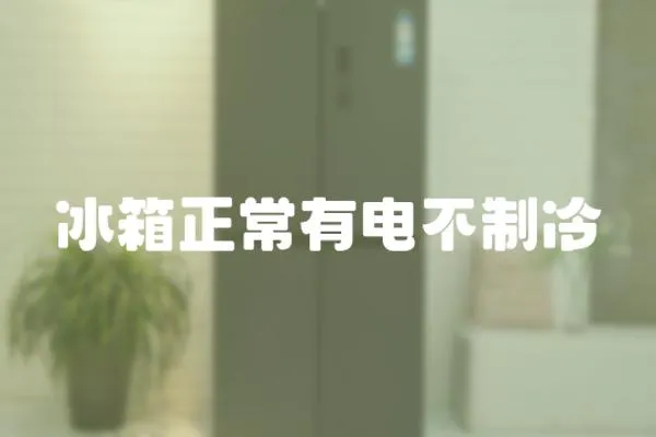 冰箱正常有電不制冷