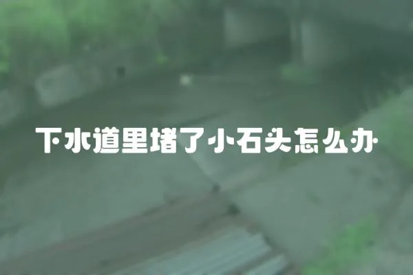 下水道里堵了小石頭怎么辦