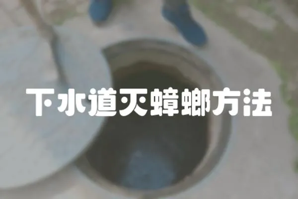 下水道滅蟑螂方法