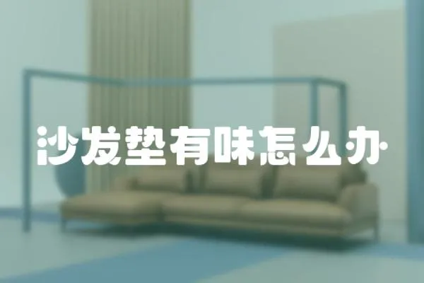 沙發墊有味怎么辦