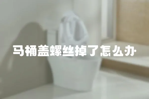 馬桶蓋螺絲掉了怎么辦