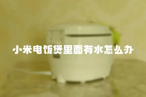 小米電飯煲里面有水怎么辦
