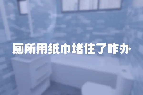 廁所用紙巾堵住了咋辦