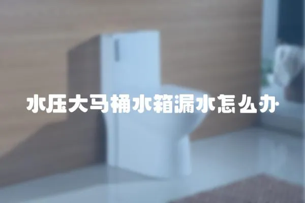 水壓大馬桶水箱漏水怎么辦