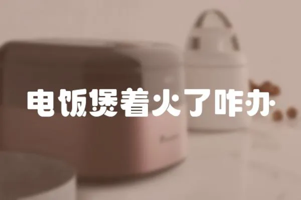 電飯煲著火了咋辦