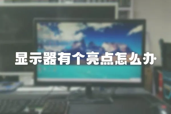 顯示器有個亮點怎么辦