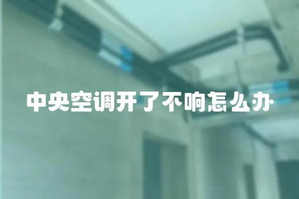中央空調(diào)開了不響怎么辦