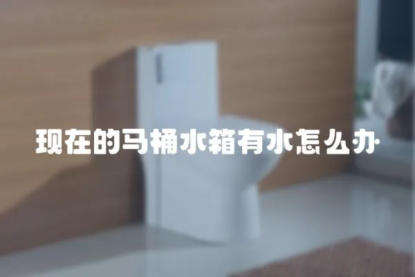 現在的馬桶水箱有水怎么辦