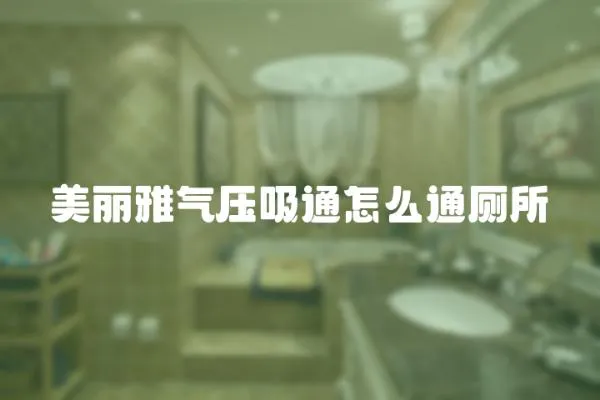 美麗雅氣壓吸通怎么通廁所