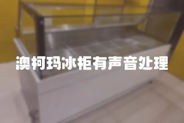 澳柯瑪冰柜有聲音處理