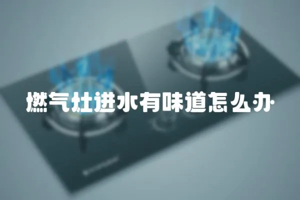 燃?xì)庠钸M(jìn)水有味道怎么辦