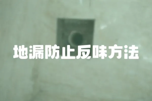 地漏防止反味方法