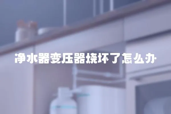 凈水器變壓器燒壞了怎么辦