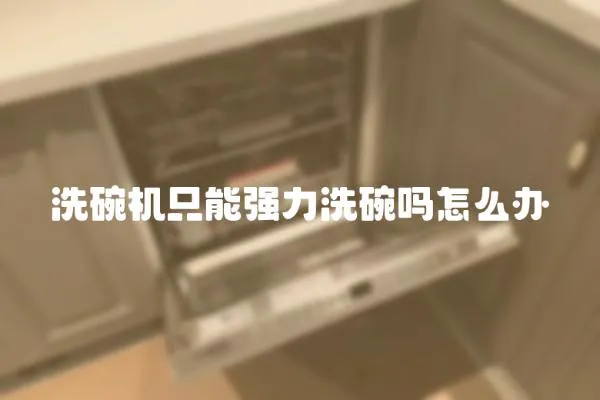 洗碗機只能強力洗碗嗎怎么辦