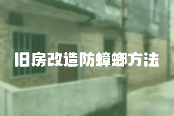 舊房改造防蟑螂方法