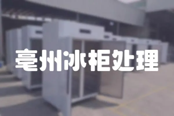 亳州冰柜處理