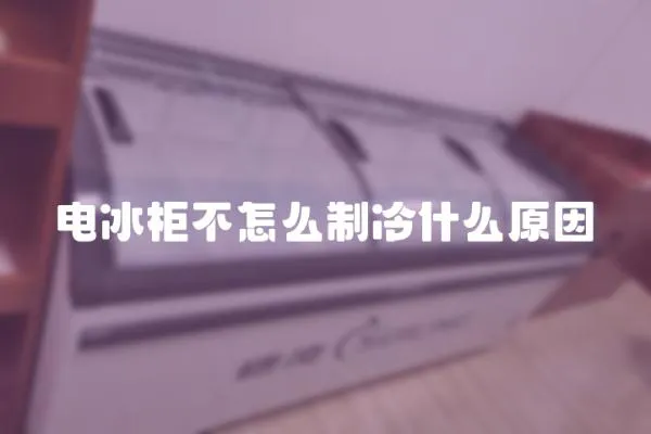 電冰柜不怎么制冷什么原因