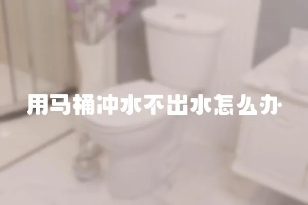 用馬桶沖水不出水怎么辦