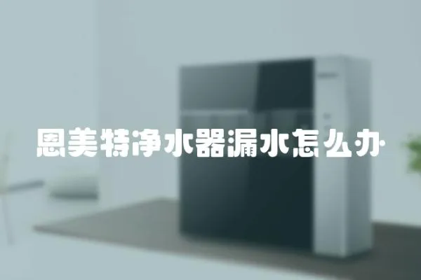 恩美特凈水器漏水怎么辦