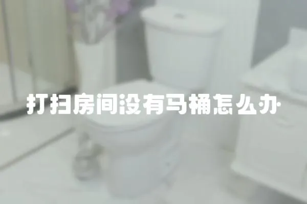 打掃房間沒有馬桶怎么辦