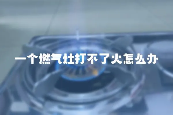 一個燃氣灶打不了火怎么辦