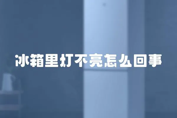 冰箱里燈不亮怎么回事