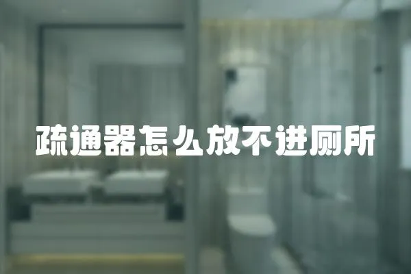 疏通器怎么放不進廁所