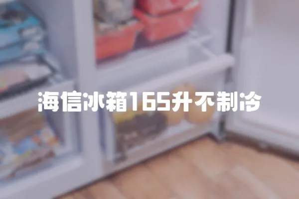 海信冰箱165升不制冷
