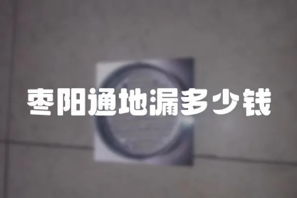 棗陽通地漏多少錢