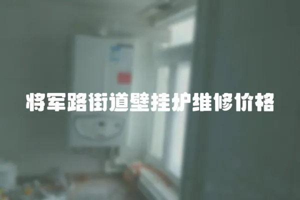 將軍路街道壁掛爐維修價(jià)格
