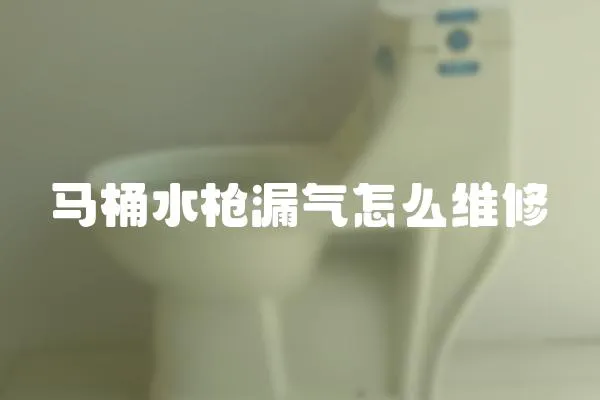 馬桶水槍漏氣怎么維修