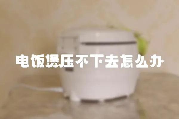 電飯煲壓不下去怎么辦