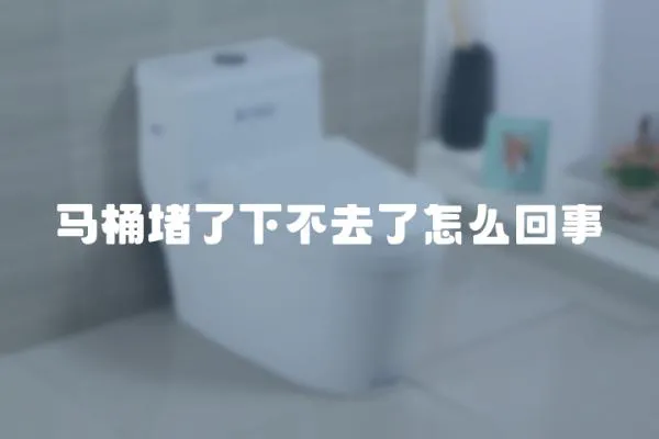 馬桶堵了下不去了怎么回事