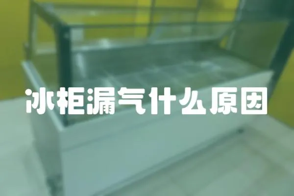 冰柜漏氣什么原因