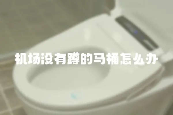 機場沒有蹲的馬桶怎么辦