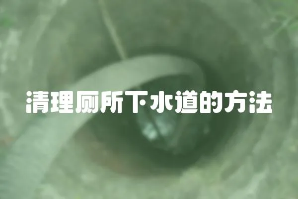 清理廁所下水道的方法