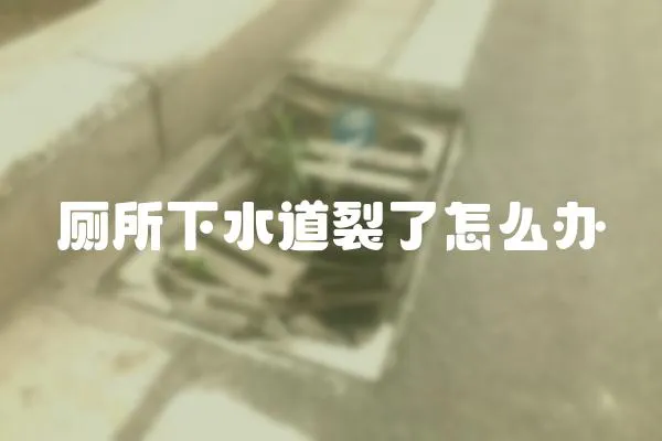 廁所下水道裂了怎么辦