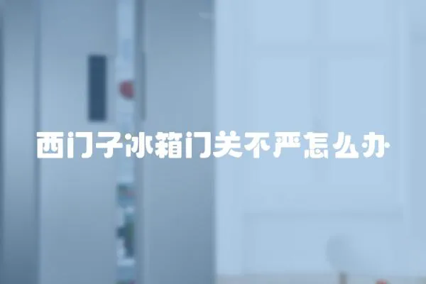 西門子冰箱門關不嚴怎么辦