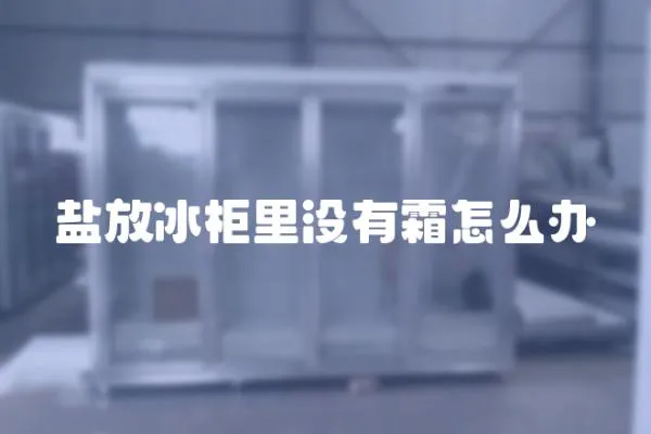 鹽放冰柜里沒有霜怎么辦