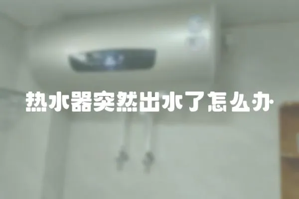 熱水器突然出水了怎么辦