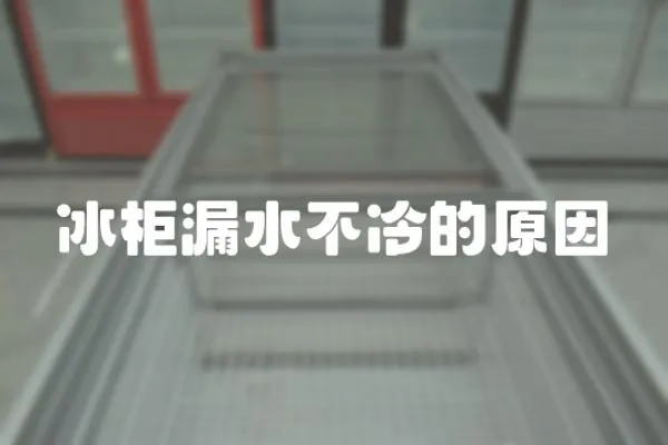 冰柜漏水不冷的原因